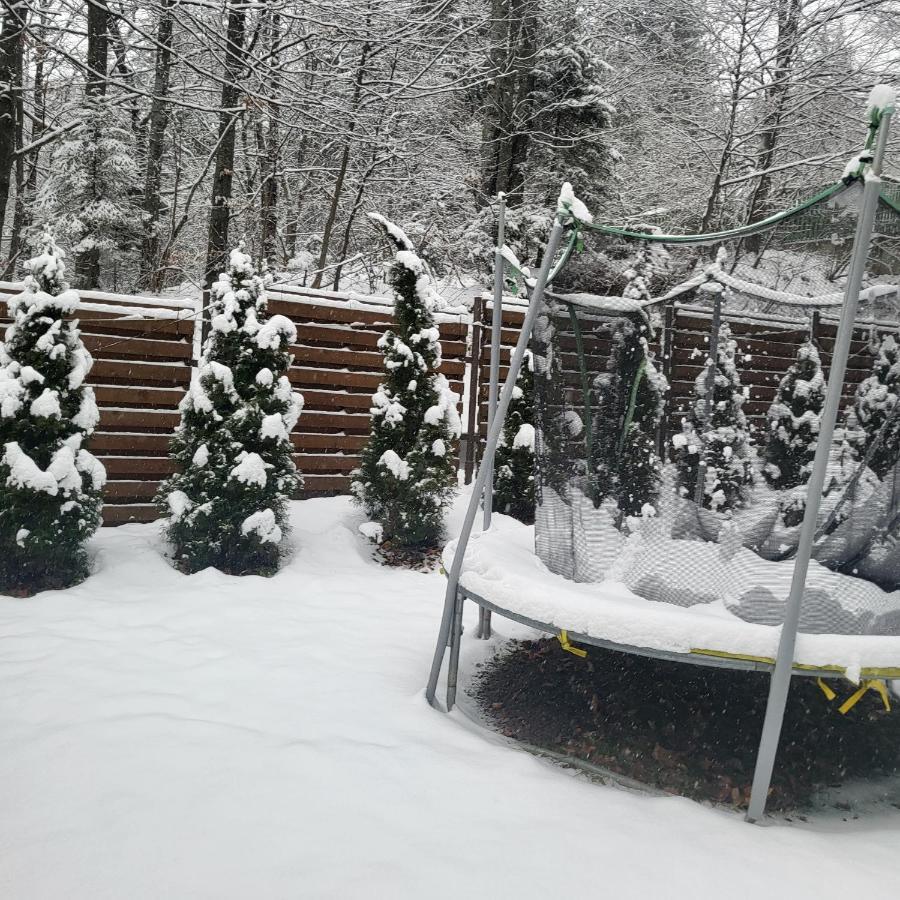 Villa Quad Poiana Brasov Exterior photo