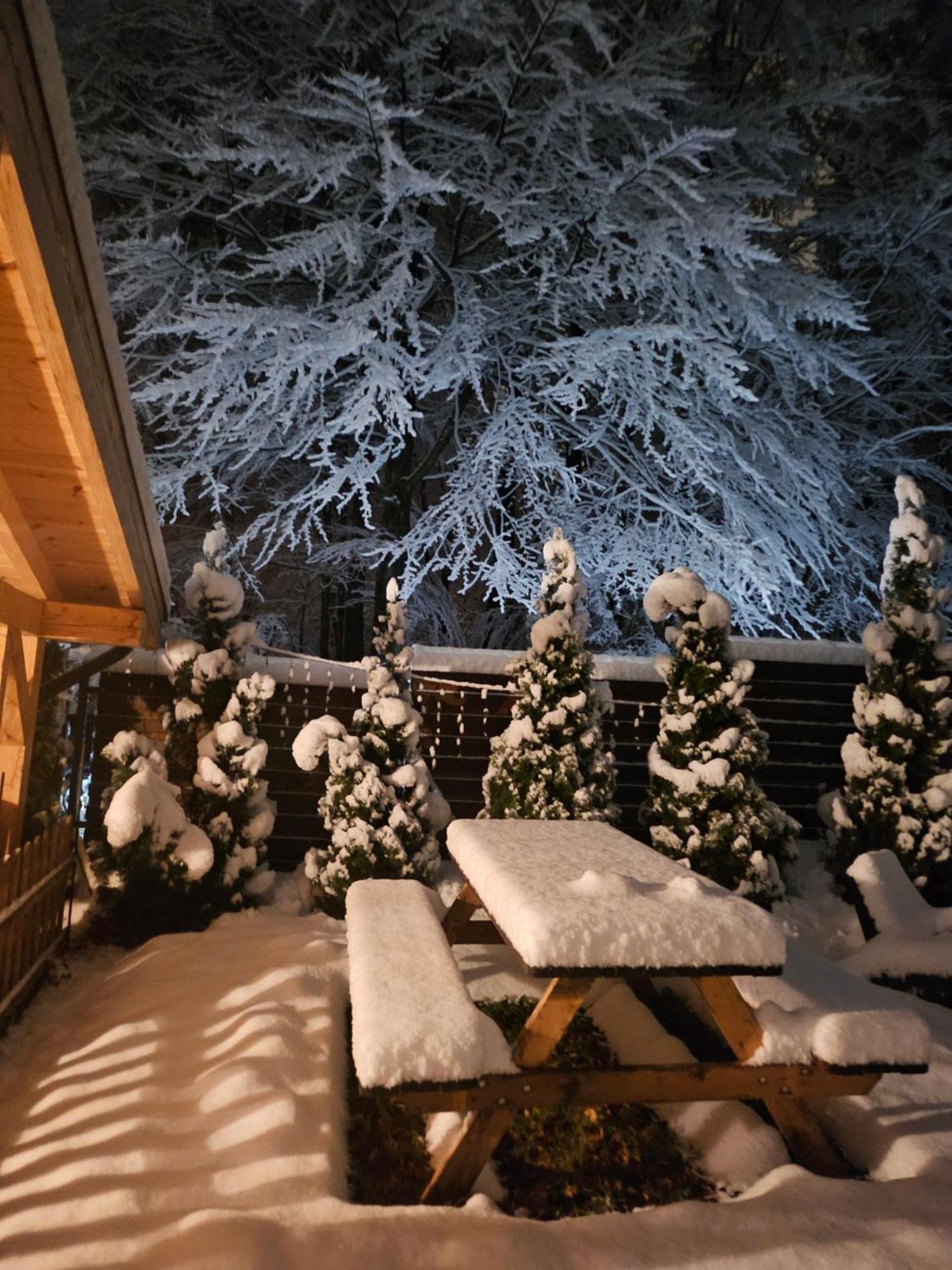 Villa Quad Poiana Brasov Exterior photo